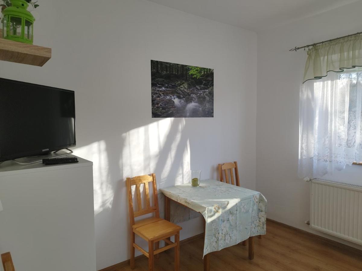 Jaskolka Apartment Lądek-Zdrój Exterior foto